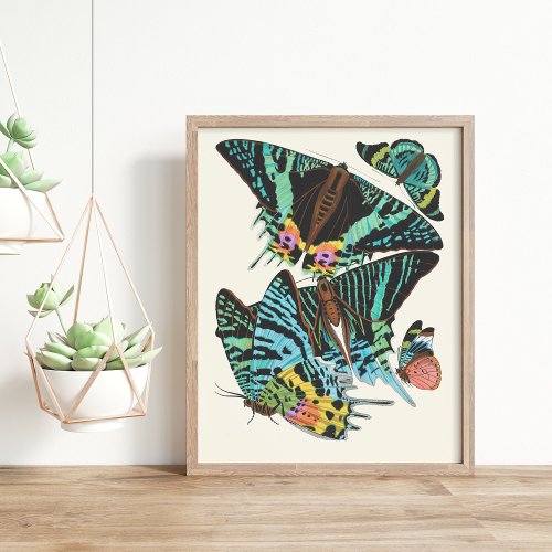 Papillons  Emile_Allain Sguy Framed Art