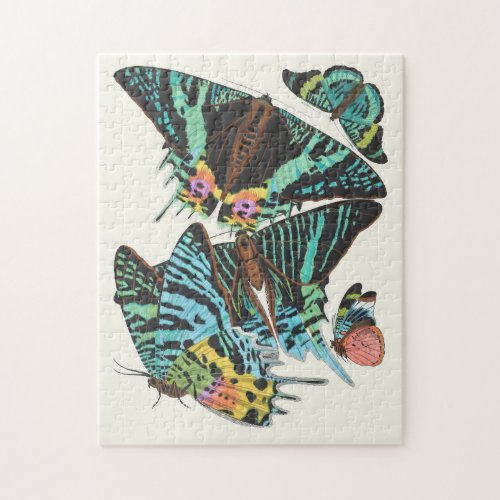 Papillons  Emile_Allain Sguy Jigsaw Puzzle