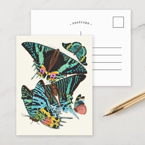 Papillons  Emile_Allain Sguy Postcard