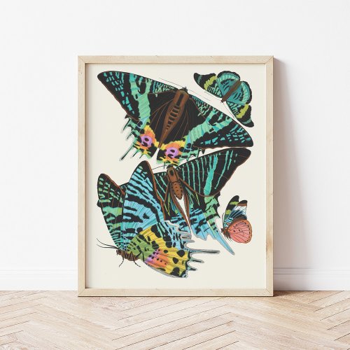 Papillons  Emile_Allain Sguy Poster