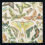Papillons Stone Coaster<br><div class="desc">From an 1843 study of butterflies</div>