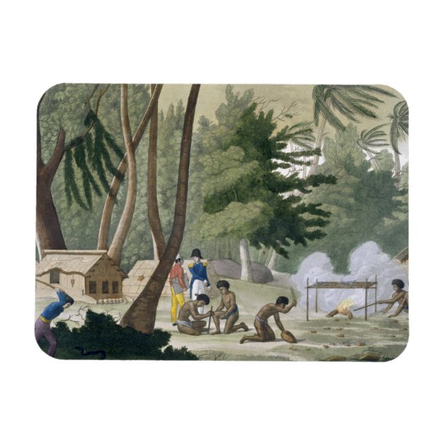 Papu tribe on the Isle of Rawak, plate 20 from 'Le Magnet (Horizontal)