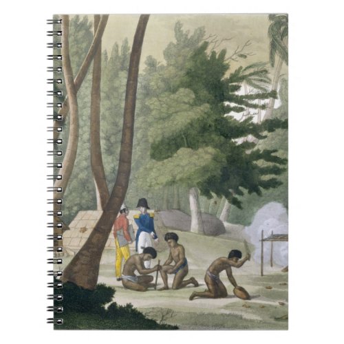 Papu tribe on the Isle of Rawak plate 20 from Le Notebook