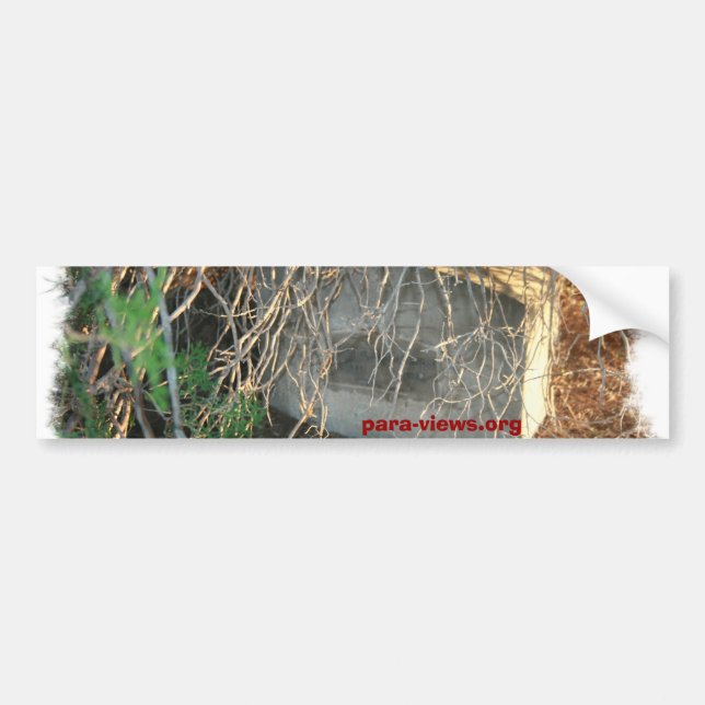 Para-Views bumper Sticker (Front)