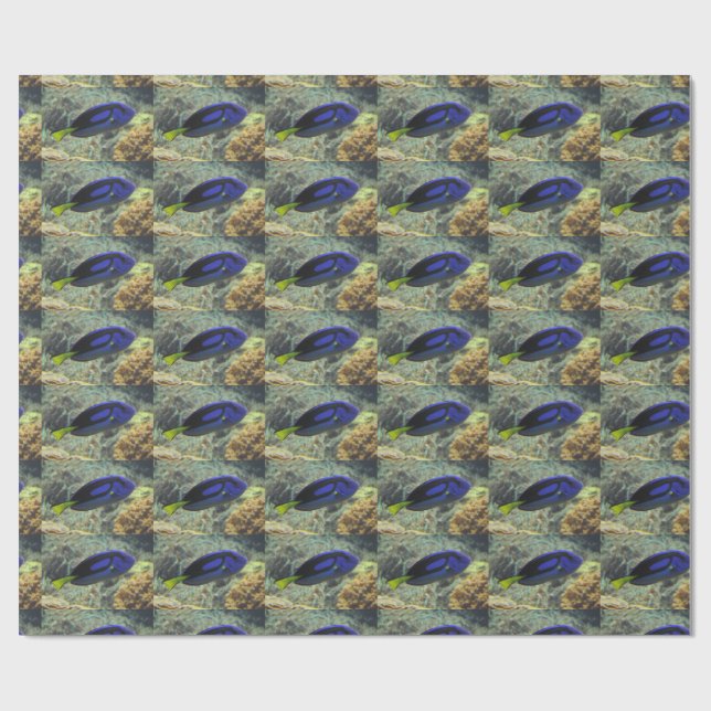 Paracanthurus hepatus wrapping paper (Flat)