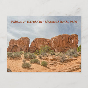 Parade of Elephants - Arches National Park Postcard