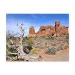 Parade of Elephants at Arches National Park Postcard
