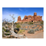 Parade of Elephants at Arches National Park Poster