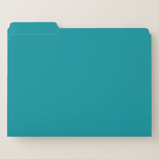 Paradingly Posh Teal Color File Folder Zazzle
