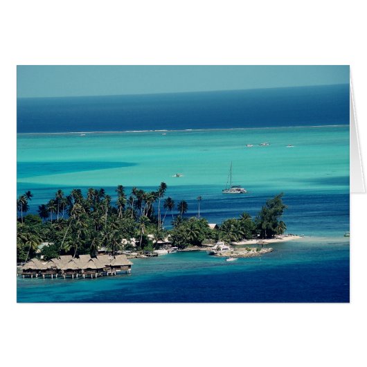 Paradise (Front Horizontal)