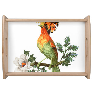 Paradise Birds: Exotic Floral Background Serving Tray