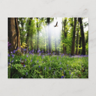 paradise found postcard