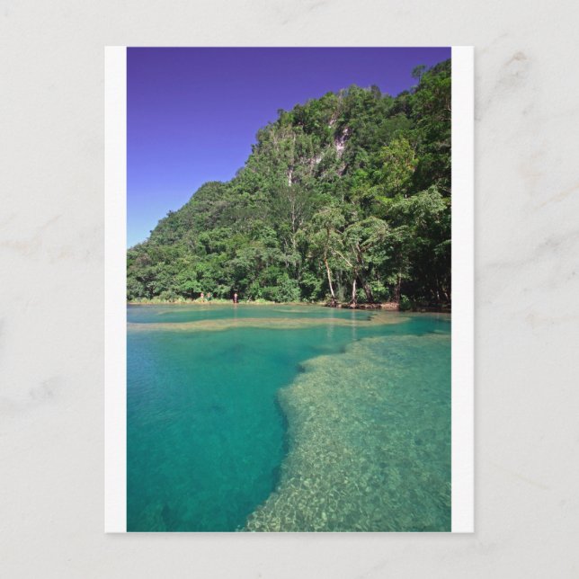 Paradise green lagoon Semuc Champey Guatemala Postcard (Front)