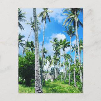 Paradise in the Pacific Postcard