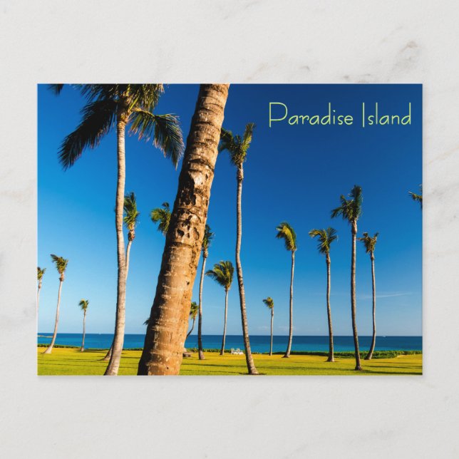 Paradise Island Landscape Postcard (Front)