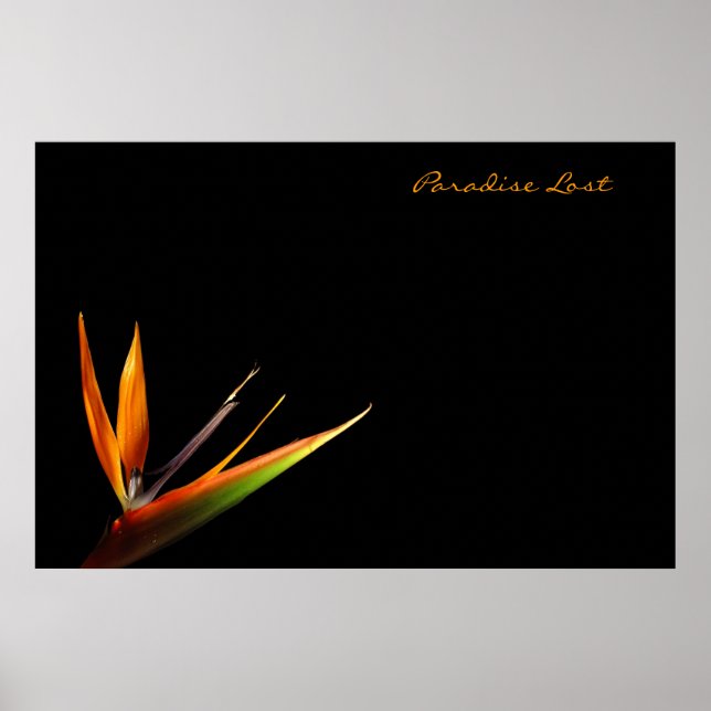 Paradise Lost Poster (Front)