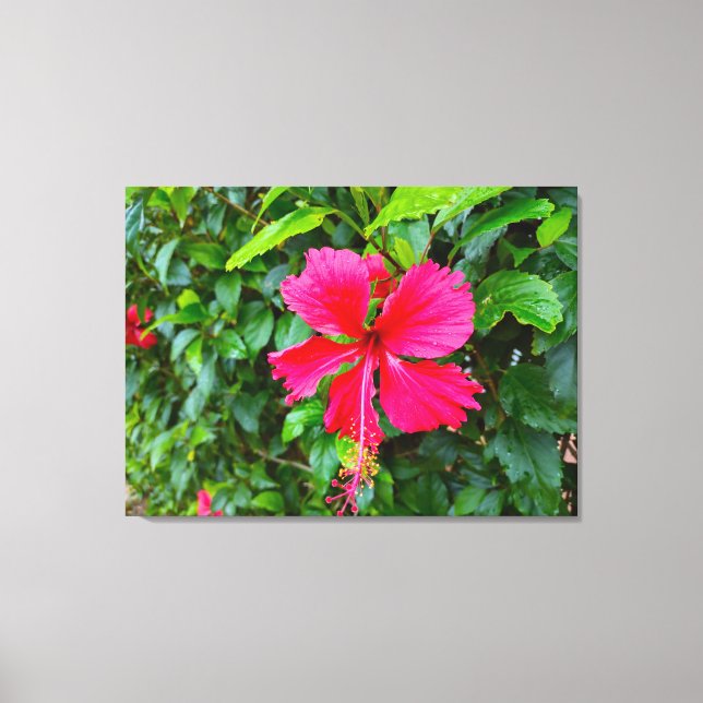 PARADISE MORNING CANVAS PRINT (Front)