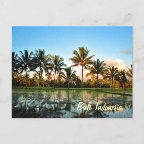 Paradise Photo Tropical Palm Trees Bali Indonesia Postcard