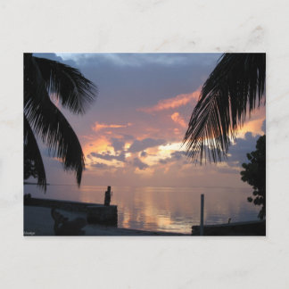 Paradise Postcard