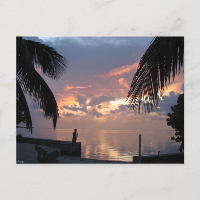 Paradise Postcard (Front)