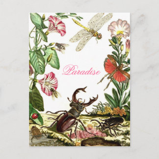 Paradise Postcard