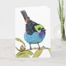 Paradise Tanager | Colorful Tropical Bird Greetin