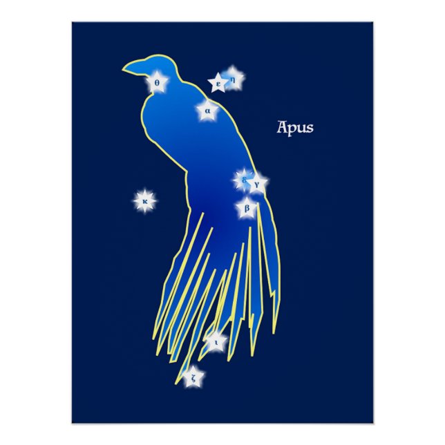 Paradisier Constellation Poster (Front)