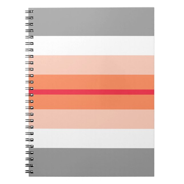 Paragirl Pride Flag Notebook (Front)