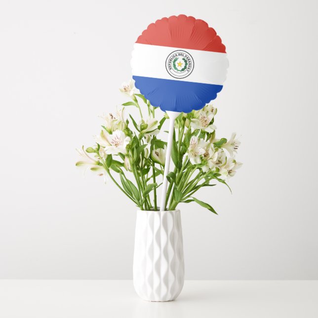 Paraguay flag balloon (Vase)
