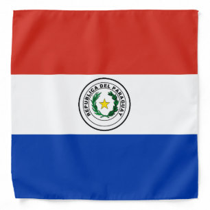 Paraguay flag bandana