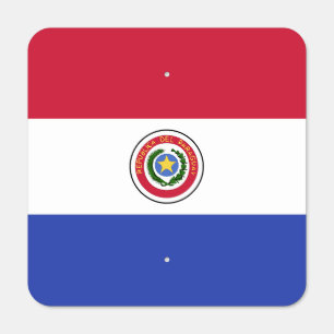 Paraguay Flag Emblem Metal Sign