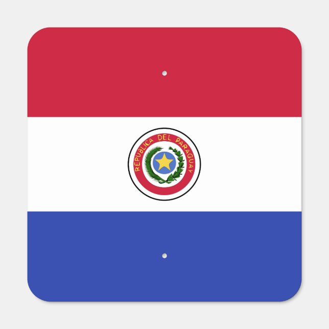 Paraguay Flag Emblem Metal Sign (Front)