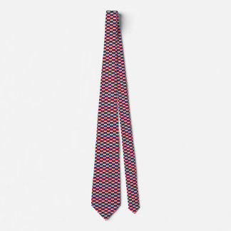Paraguay Flag Hearts Tie