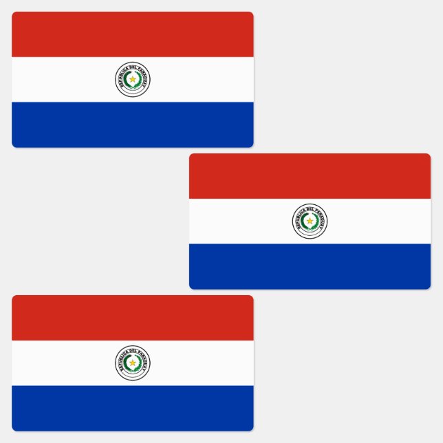 Paraguay Flag Labels (Group)