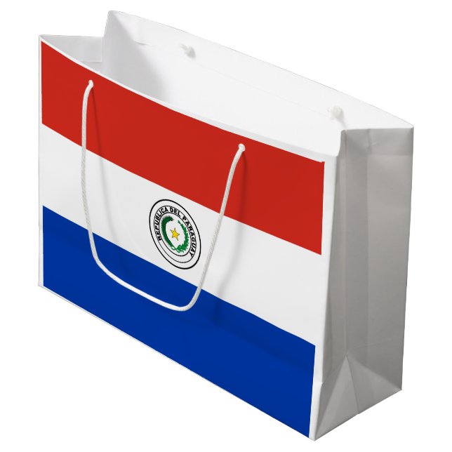 Paraguay Flag Large Gift Bag (Front Angled)