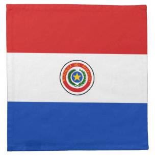 Paraguay Flag Napkin