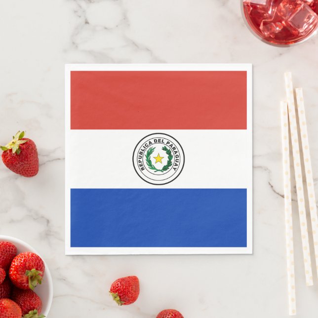 Paraguay flag napkins (Insitu)