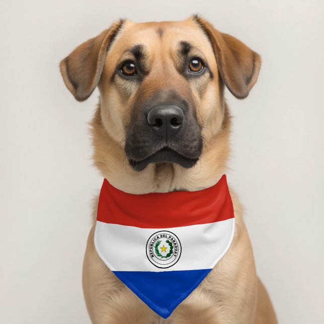 Paraguay flag pet bandana collar (Dog 2)