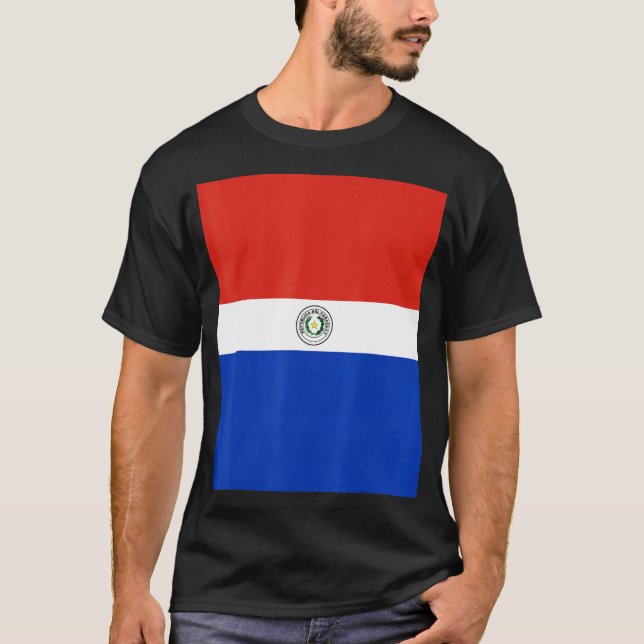 Paraguay Flag Souvenir Heritage Travel T-Shirt (Front)