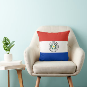 Paraguay flag throw pillow