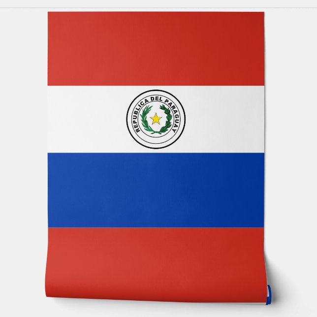 Paraguay flag wallpaper  (Unrolling)