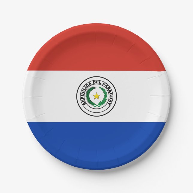 Paraguay (Paraguayan)  Flag Paper Plates (Front)