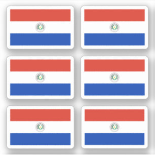 Paraguayan flag sticker