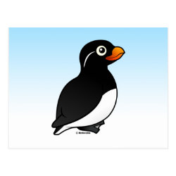 Parakeet Auklet Postcard
