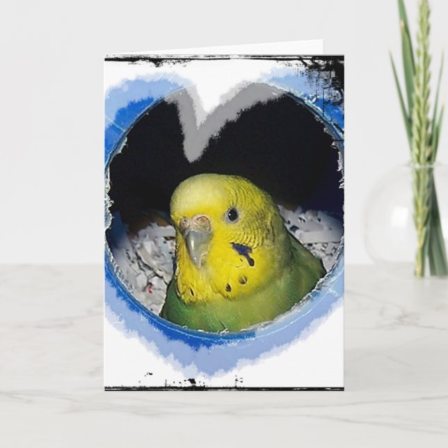Parakeet Bird Heart Greeting Card (Front)