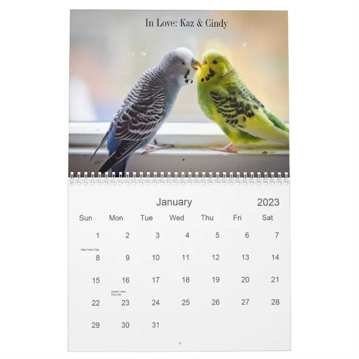 Parakeet calendar Zazzle