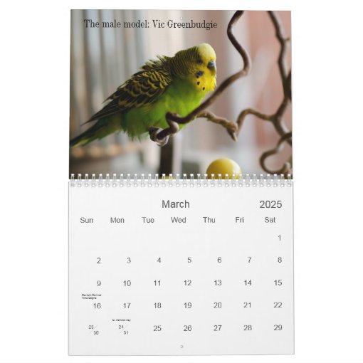 Parakeet calendar Zazzle
