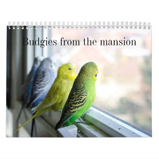 Parakeet calendar Zazzle Parakeet calendar Zazzle