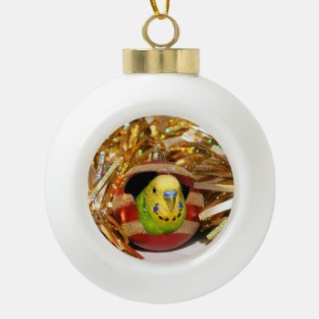 Parakeet Christmas Ceramic Ball Christmas Ornament by deemac1 at Zazzle
