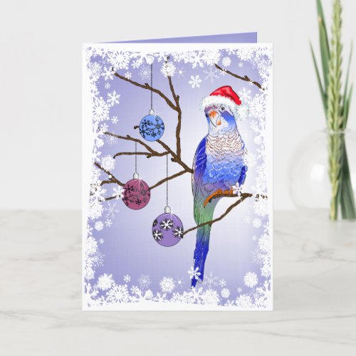 Parakeet Christmas Holiday Card
